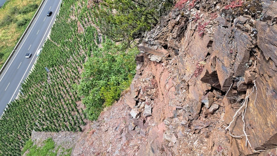 Geländeaufnahme im steilen Weinberg oberhalb der Mosel @ w&p geoprojekt GmbH 
